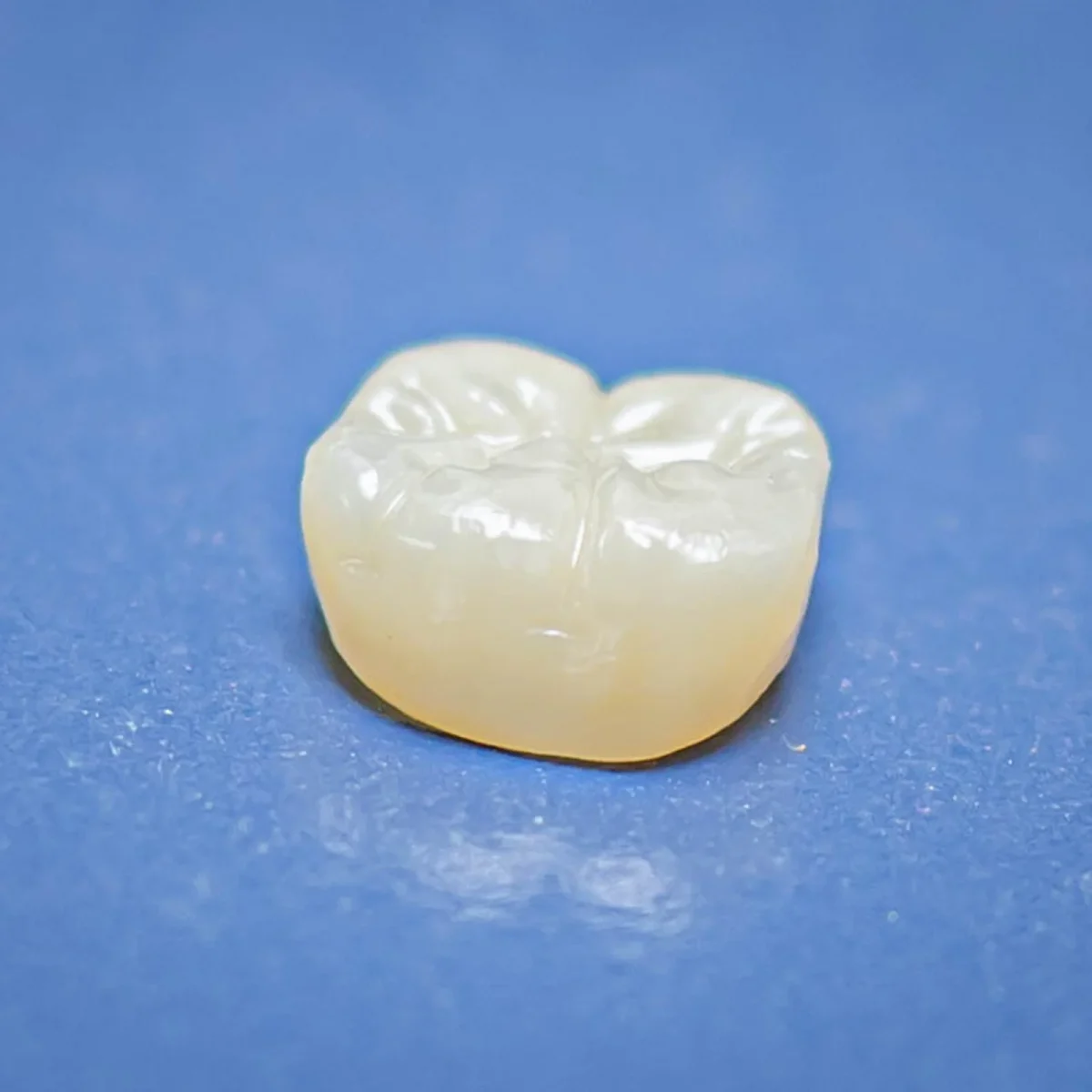 Single zirconia crown detail shot