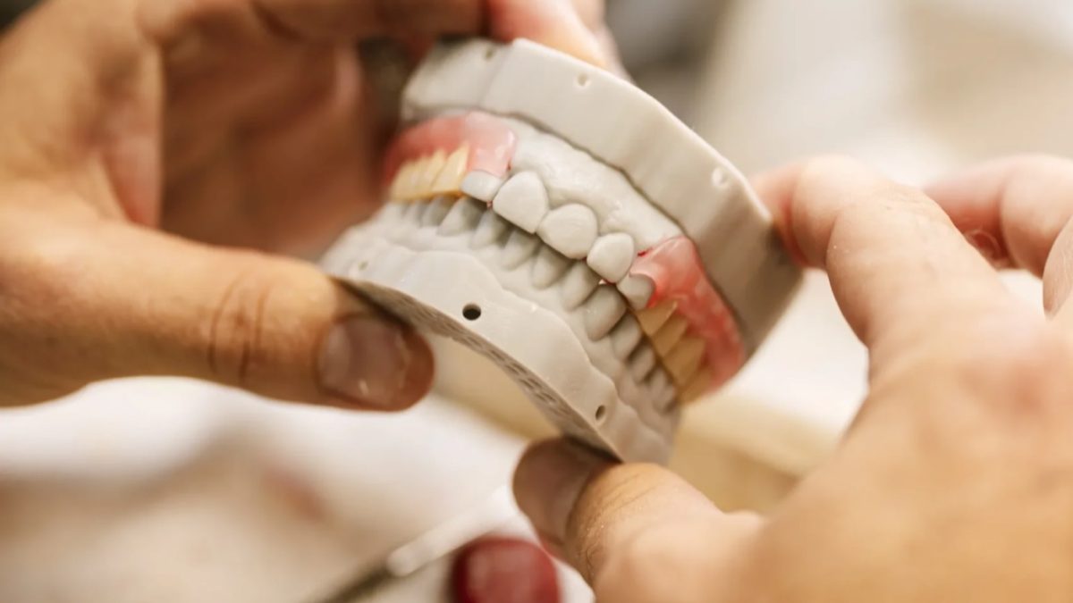 Articulated complete denture at the IDA bench, the occlusion a denture reline does not touch